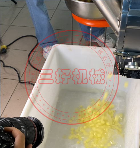 切菜機切丁效果 切菜機切丁效果