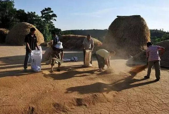 年輕人花拳繡腿，吹噓用包子機(jī)可以做老面包子？