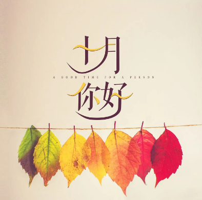 1697174340287065.png image.png