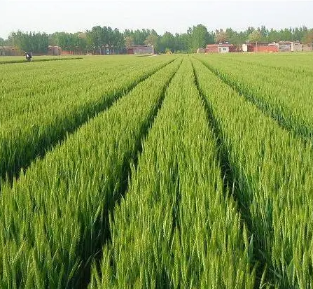 1724203557517155.png image.png