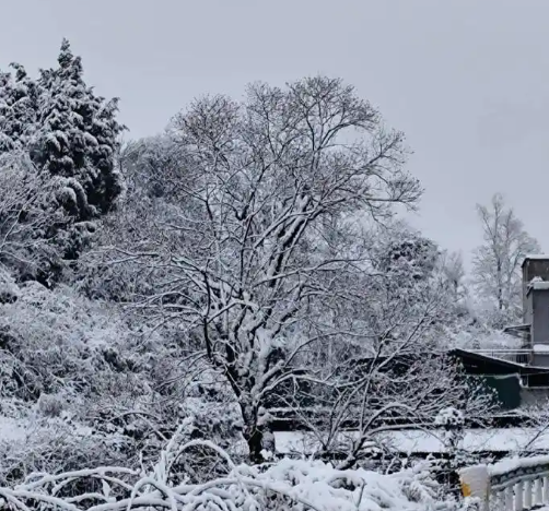 1733461911142608.png image.png