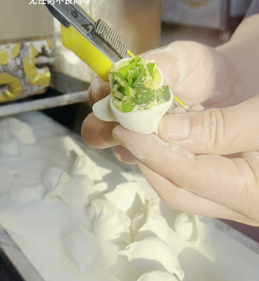 素餡 餃子機怎么樣 素餡 餃子機怎么樣