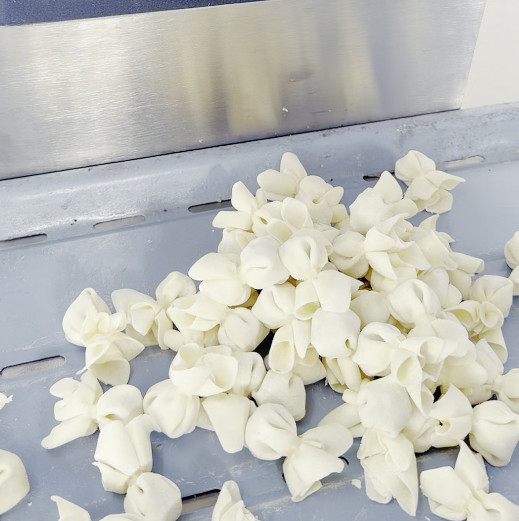 多功能小魚(yú)混沌機(jī)